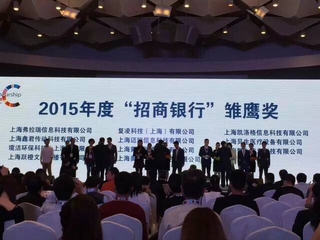 雏鹰2